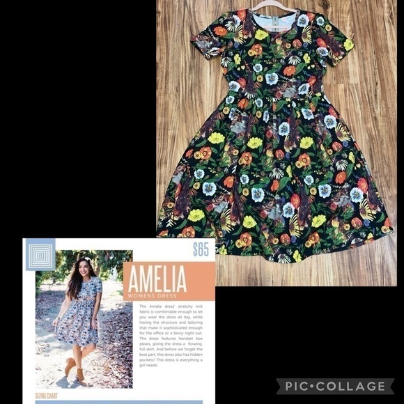 Lularoe women dress Large 14 16 fit flare pockets dark floral bird Amelia black - Picture 1 of 9